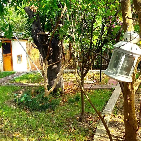 Paradise Garden On The Island Heybeliada