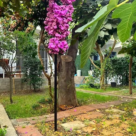Paradise Garden On The Island Apartment
