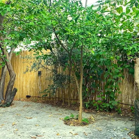 Paradise Garden On The Island *