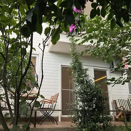 Paradise Garden On The Island *
