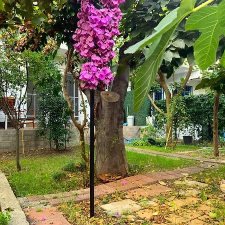 Paradise Garden On The Island Heybeliada