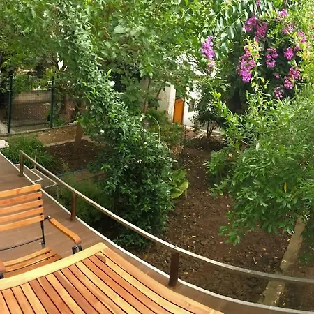 Paradise Garden On The Island