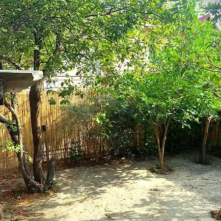 Paradise Garden On The Island *