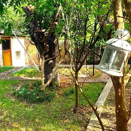 Paradise Garden On The Island *